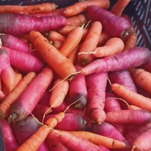 Carotte vrac