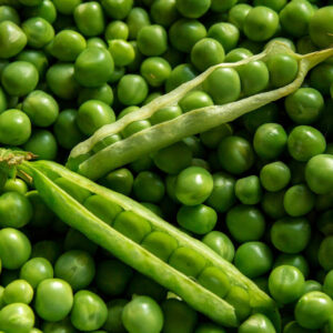 Petits pois