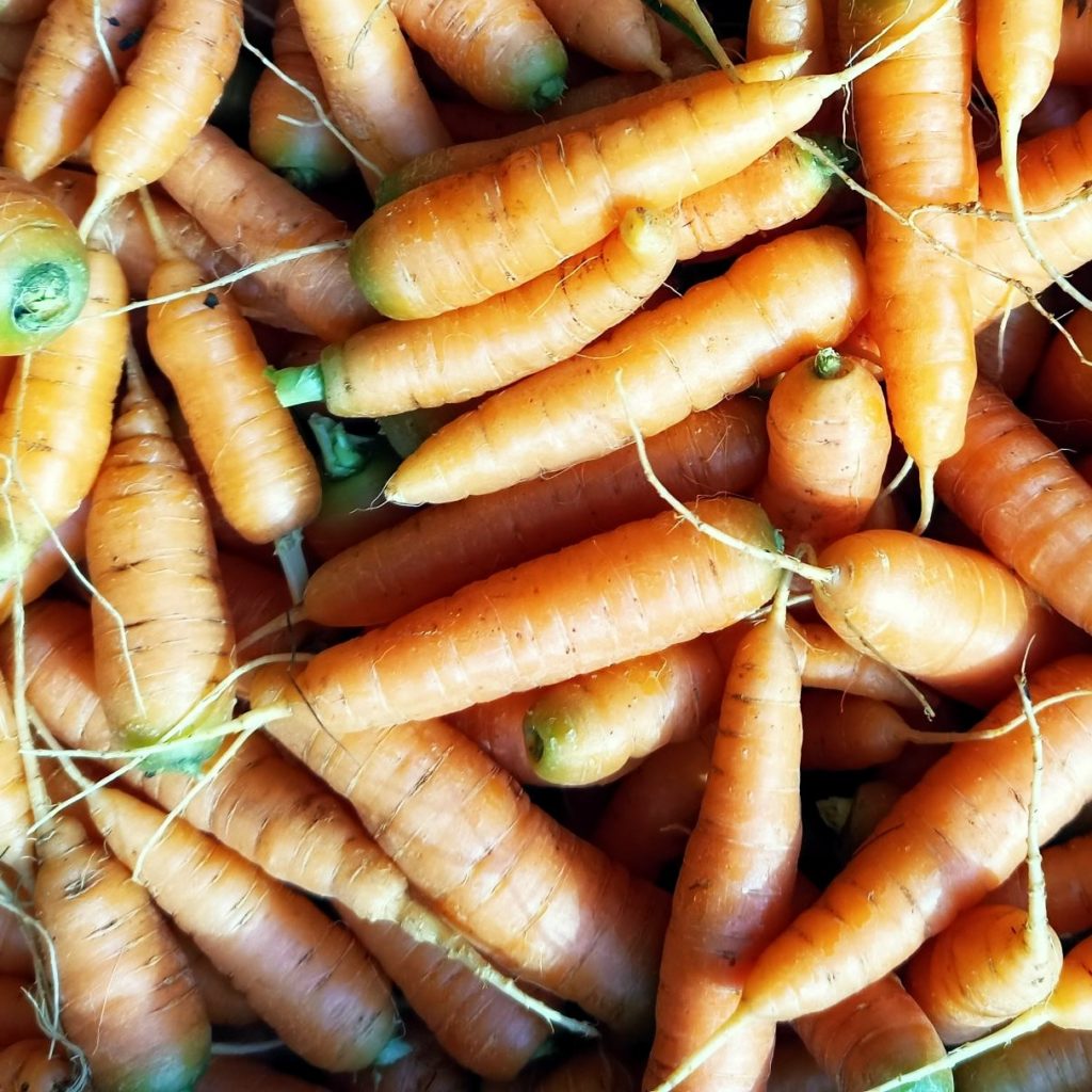 FermedeKeruzerh-carottes-apéro