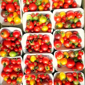 Tomates cerise