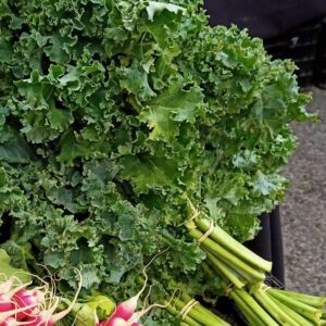 Chou Kale botte