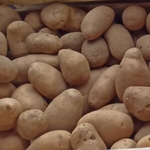 Pommes de terre