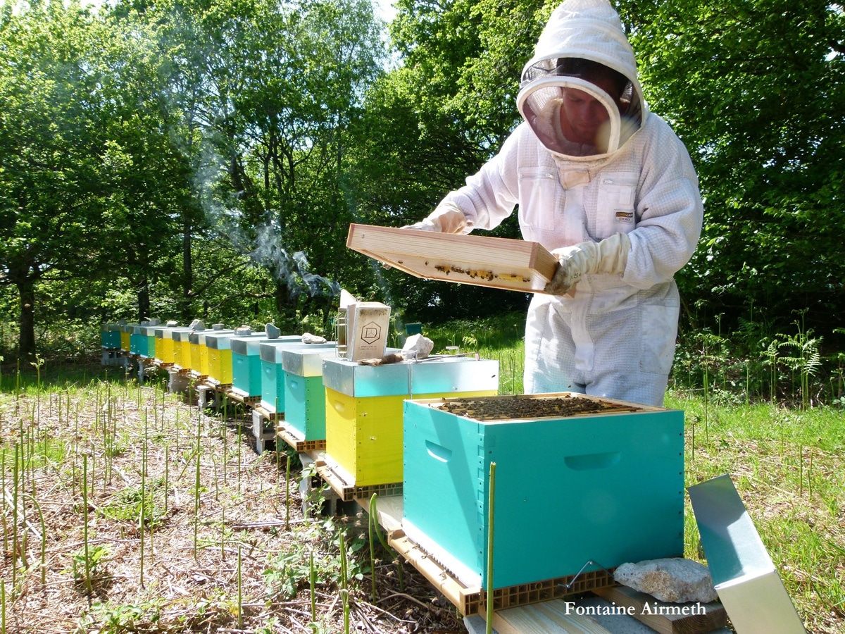 FermedeKeruzerh-miel-printemps-ruches-Fontaine-Airmeth