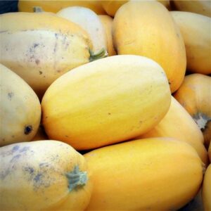 FermedeKeruzerh-courge-spaghetti