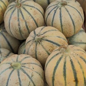 Melon