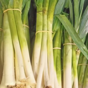 Poireaux botte