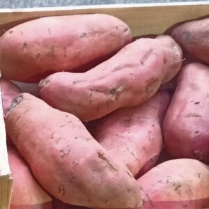 Patate douce