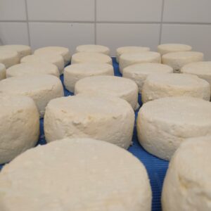 Fromage palet vache affiné